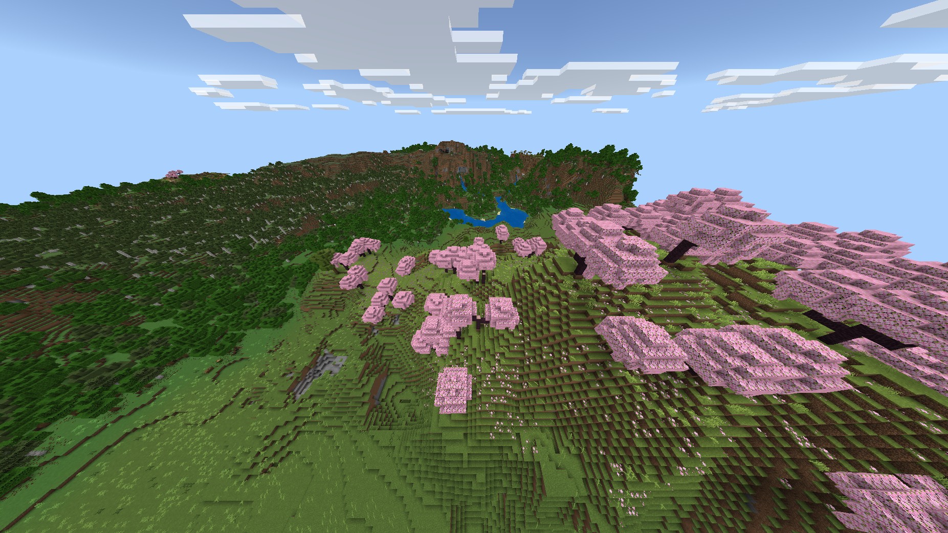 Pink cherry trees on a hillside above a wooded river valley.